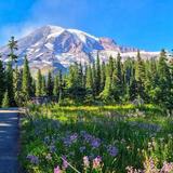 Mount Rainier National Park