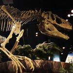McWane Science Center