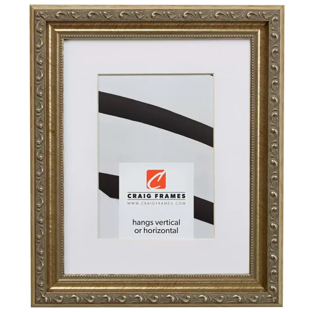 Craig Frames Ancien Ornate 11x14 inch Antique Silver Frame Matted for a 8x10 Photo