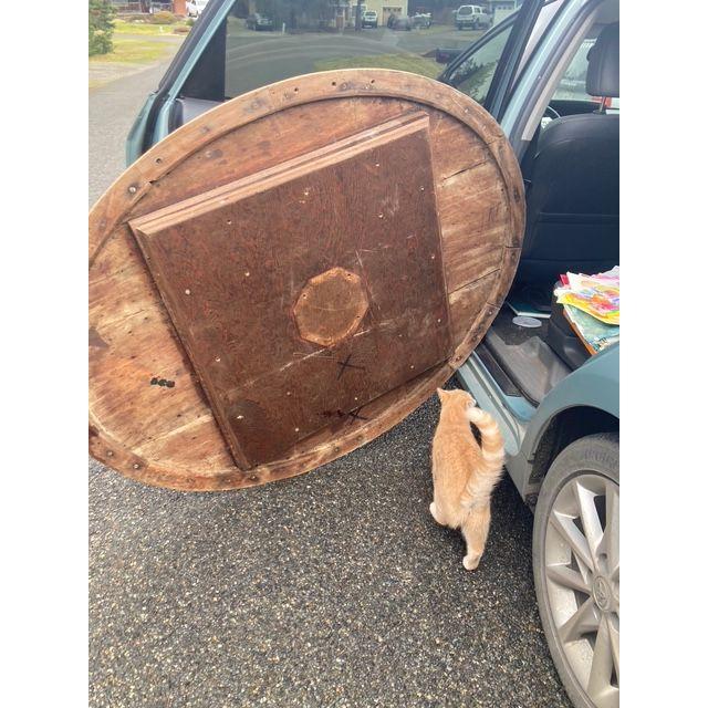 The Bones of the Harmony table was a VERY Heavy  old table and I ended up with many bruises getting it in the car and did cry and call for help and this cat showed up to help.