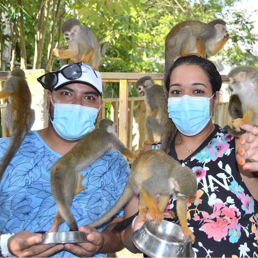 Visiting a Monkey Sanctuary in Dominican Republic.