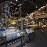 Perot Museum of Nature and Science