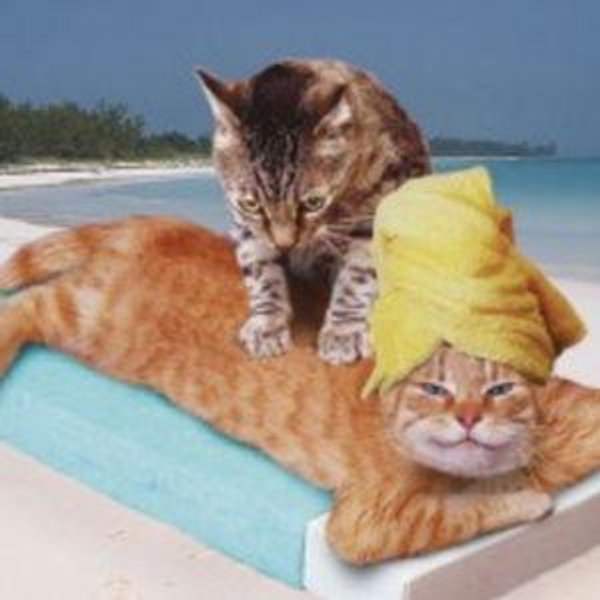 60-Minute Couples Massage
