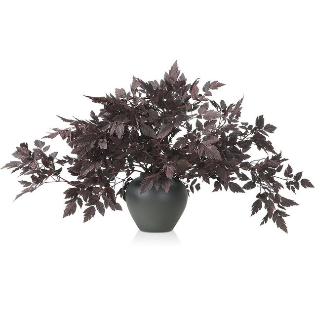 Lyrow 6 Pack Artificial Cimicifuga Plant Leaf Spray Faux Plum Cimicifuga Ramosa Leaf Branch Faux Fall Spray Faux Silk Plants for Home Vase Wedding Garden Farmhouse Table Mantel Decor (32 Inches)
