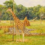 Columbus Zoo and Aquarium