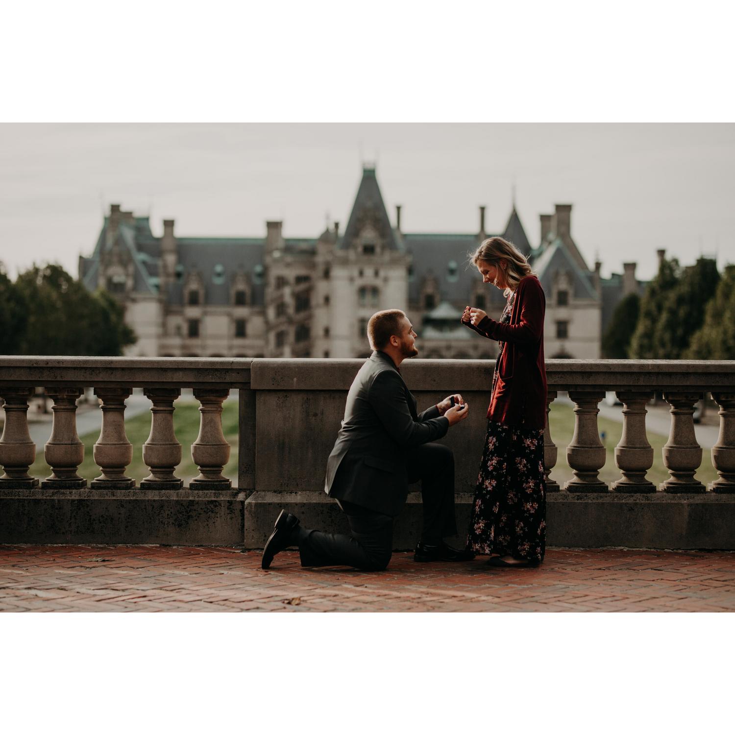 The Proposal