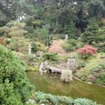 Hakone Estate and Gardens
