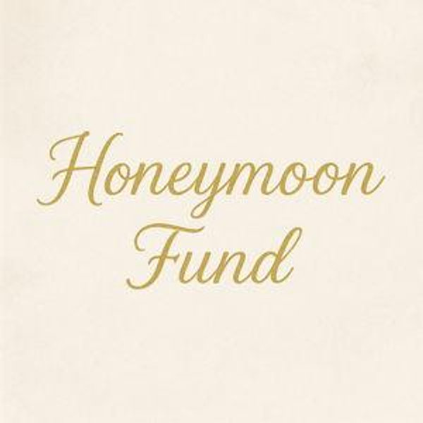 Our Honeymoon Cruise Fund
