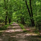 Columbia Trail