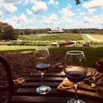 Wineries & Vineyards
