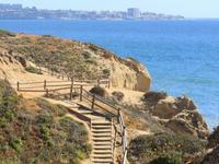 Torrey Pines State Reserve