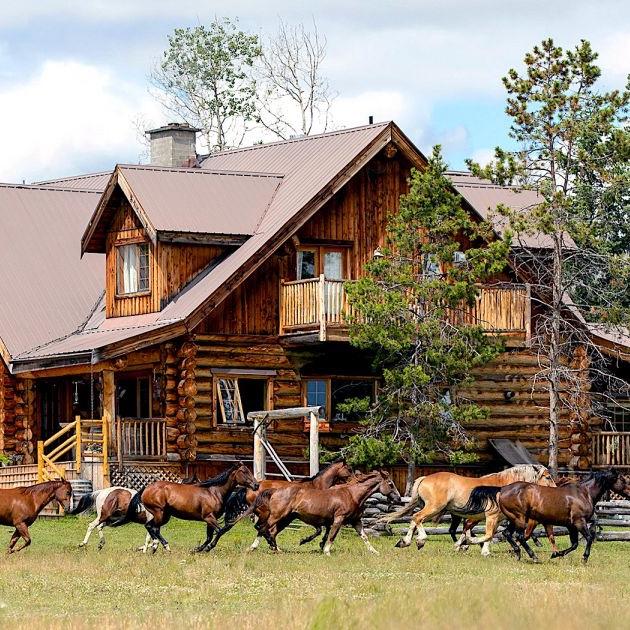 Honeymoon Ranch