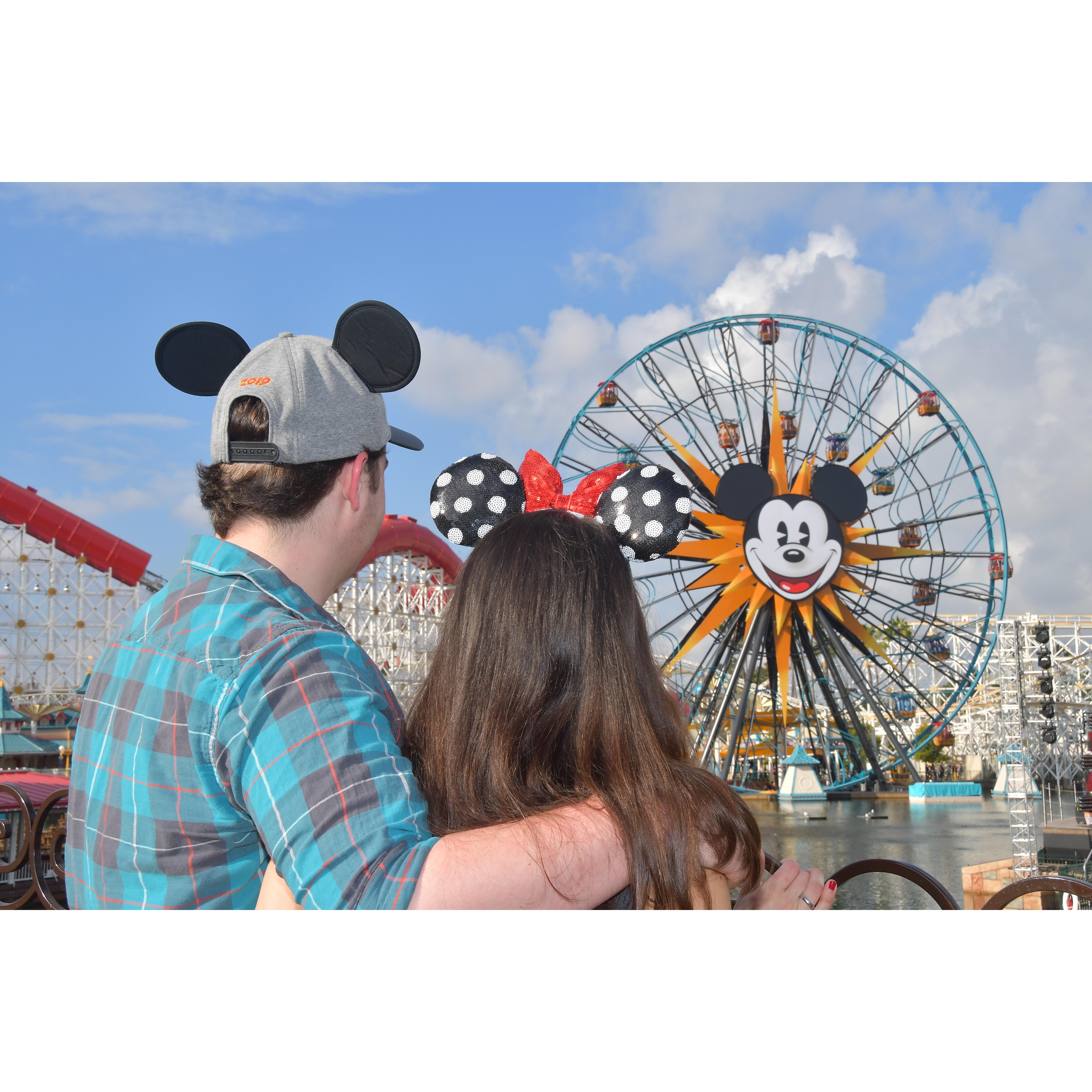Disneyland 2019