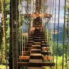 Tree to Tree Adventure Park