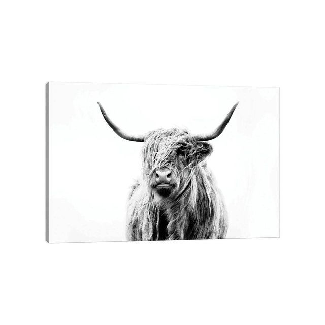 32" x 48" x 1.5" Highland Cow Wall Art by Dorit Fuhg - iCanvas: Giclée, Gallery Wrap