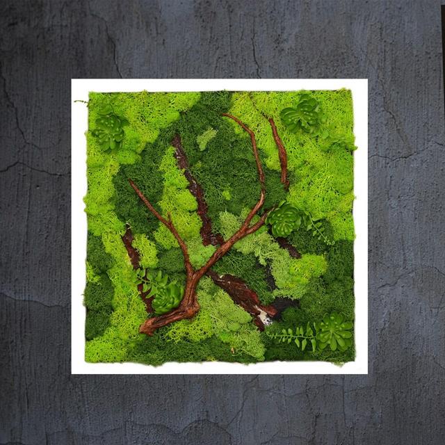 Moss Frame