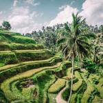 Stay in Other Part of Bali