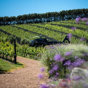 Wine tasting on Waiheke Island