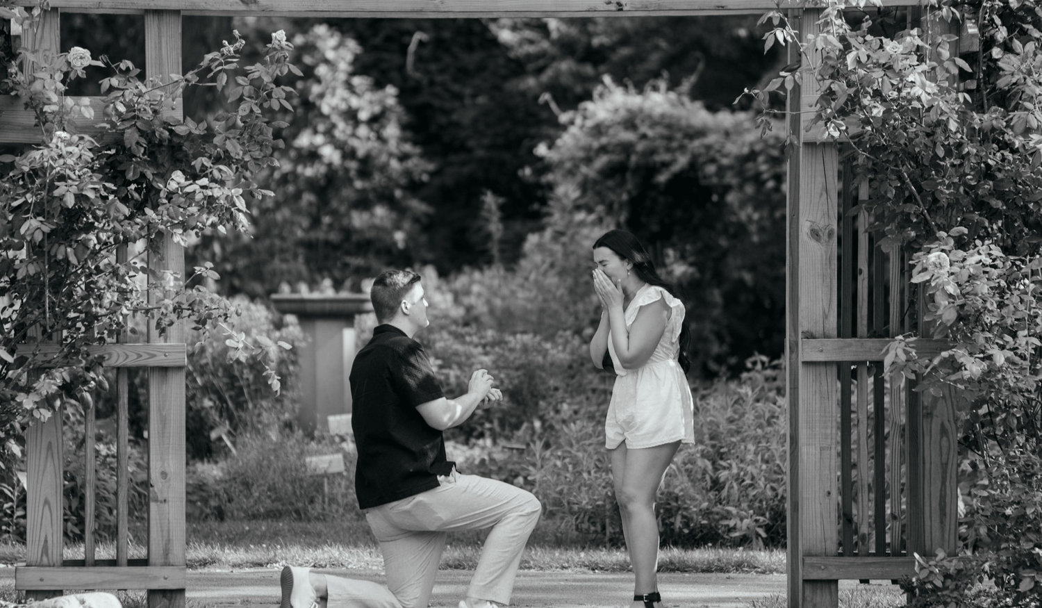 Footer image