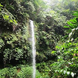 Guided Waterfall Hike