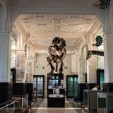 Manchester Museum