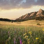 Boulder