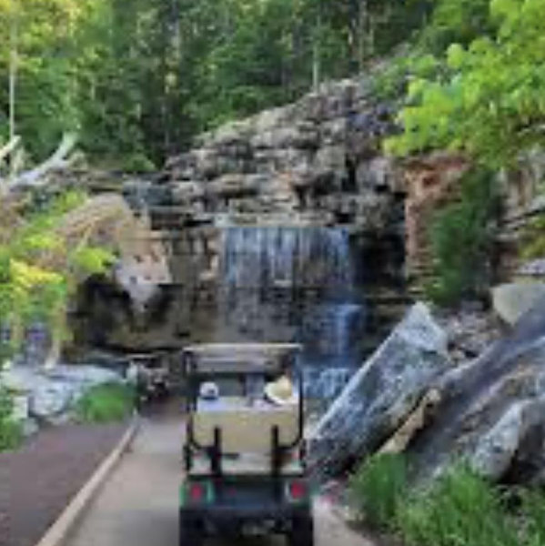 Golf Cart Tour
