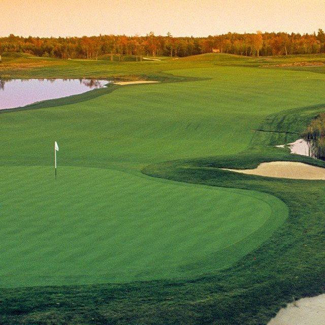 Golf Clubs