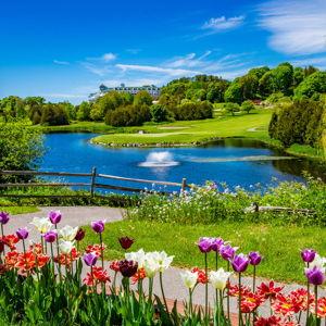 Golf for Two at The Jewel