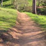Three Bridges Oak Preserve Trailhead