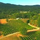 Currahee Vineyard & Winery