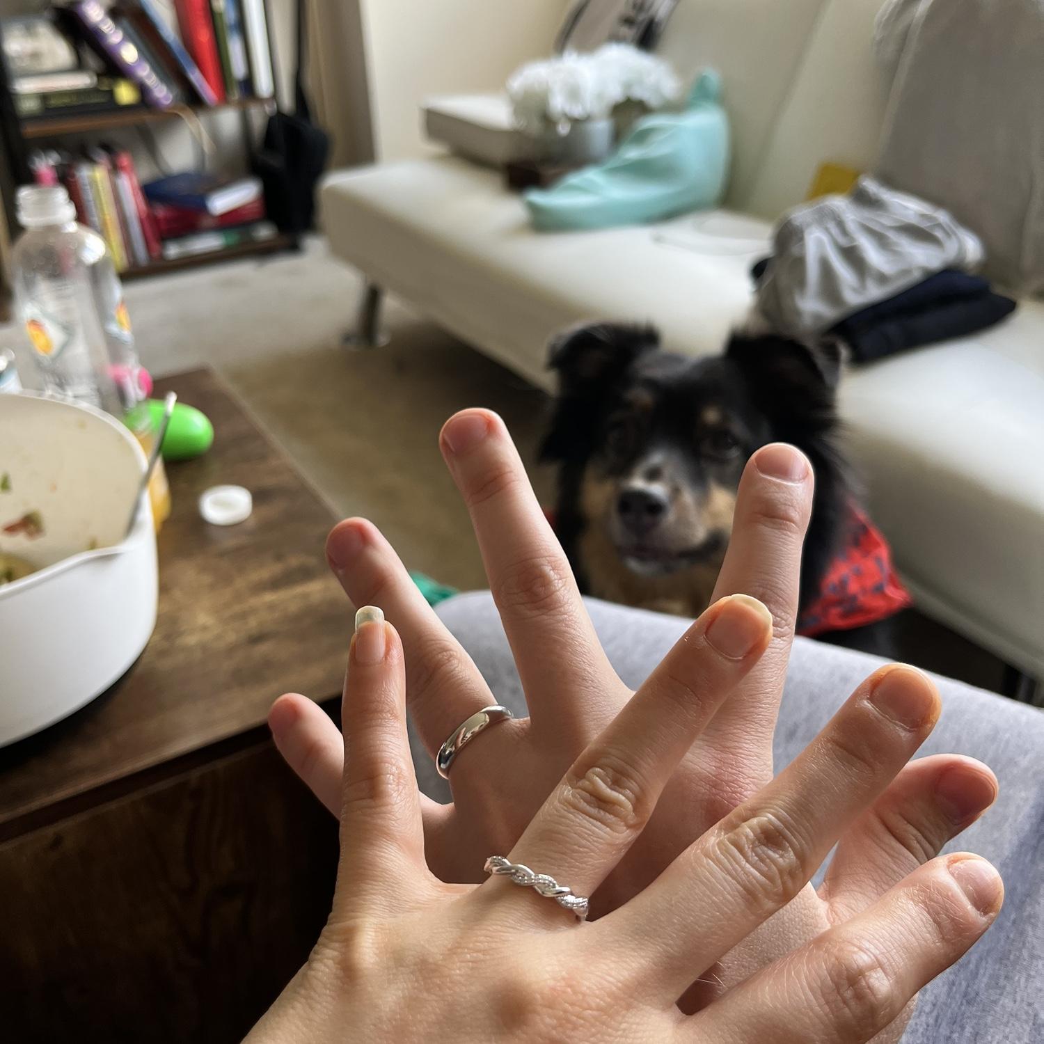 Bindi was very curious
