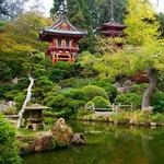Japanese Tea Garden