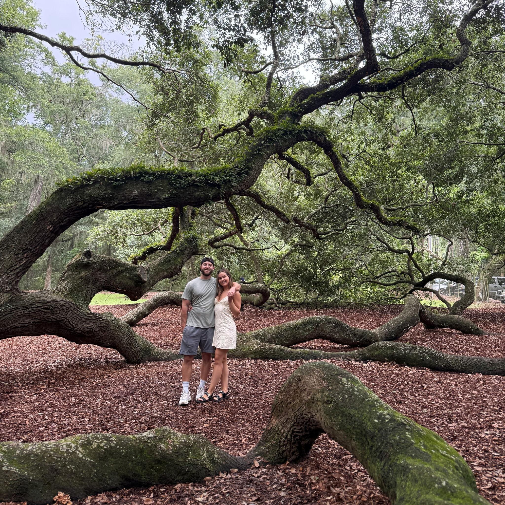 Visiting the oldest Oak tree in the east coast