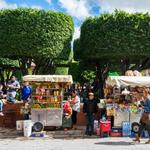 El Jardin Principal