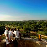 Arbor Hills Nature Preserve