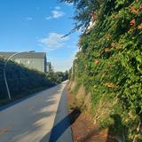 The 606 Bloomingdale Trail Bridge *