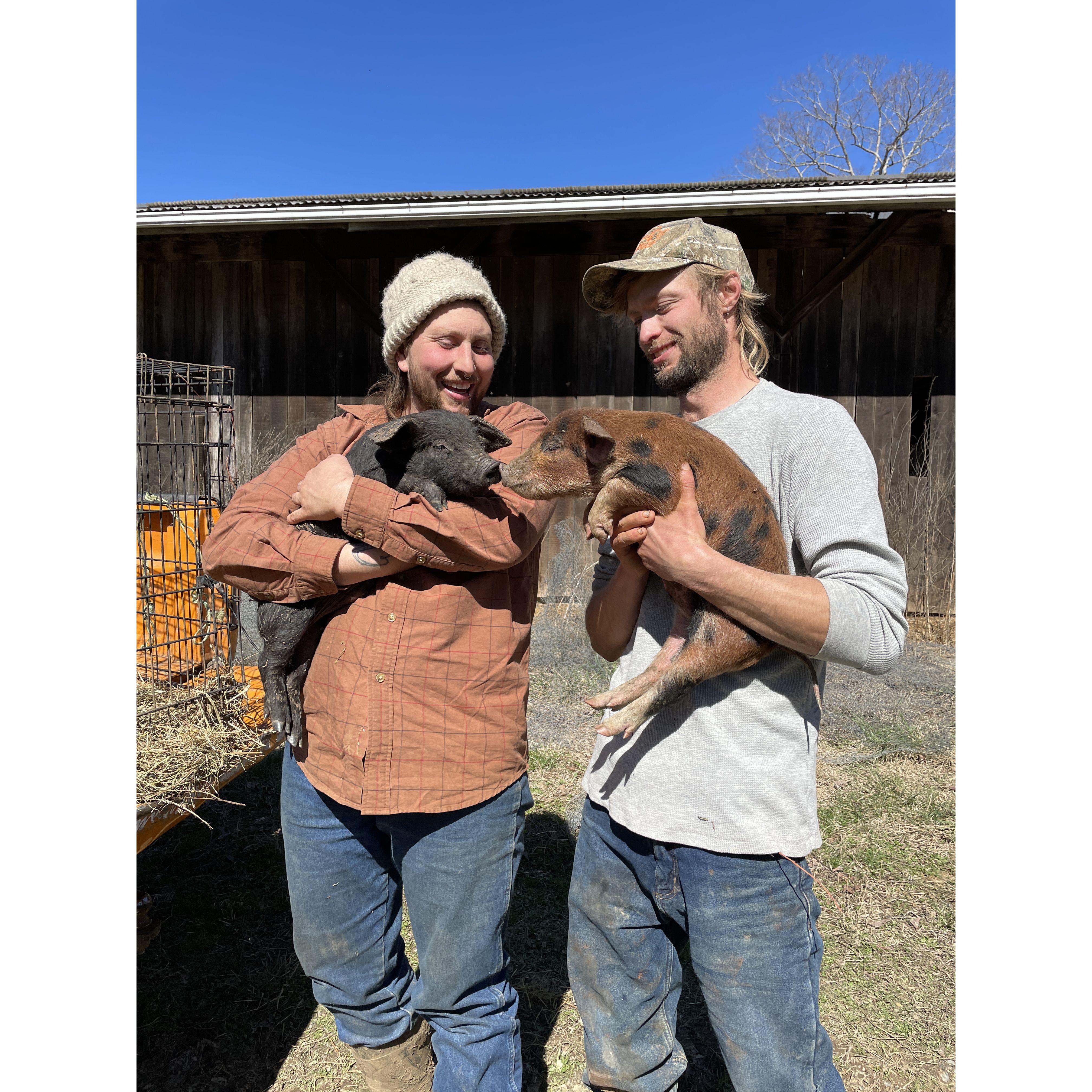 Nathan with his friend Mason and some new piglets at Bellair Farm.