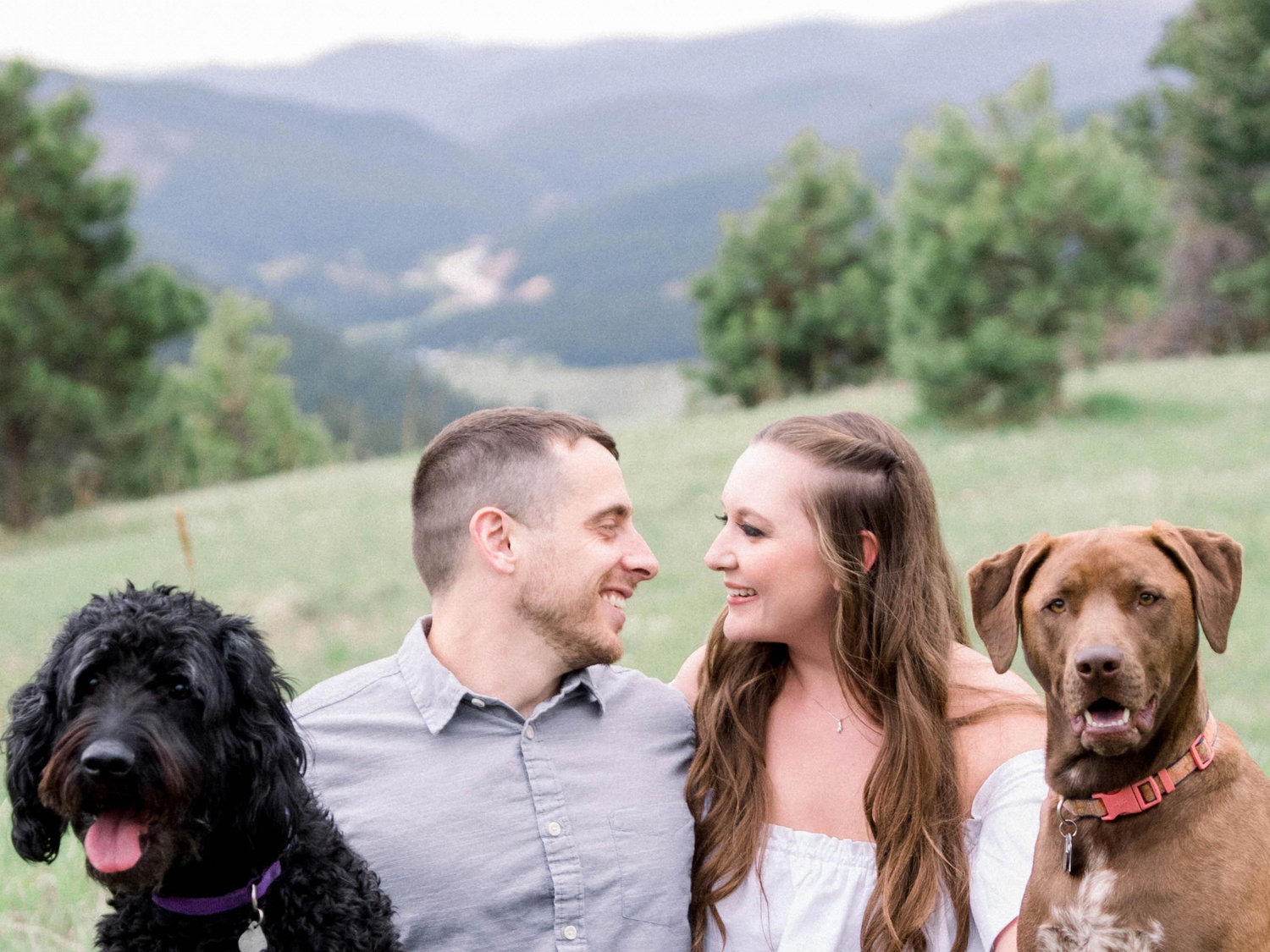 The Wedding Website of Kate Carroll and Mark Linahon