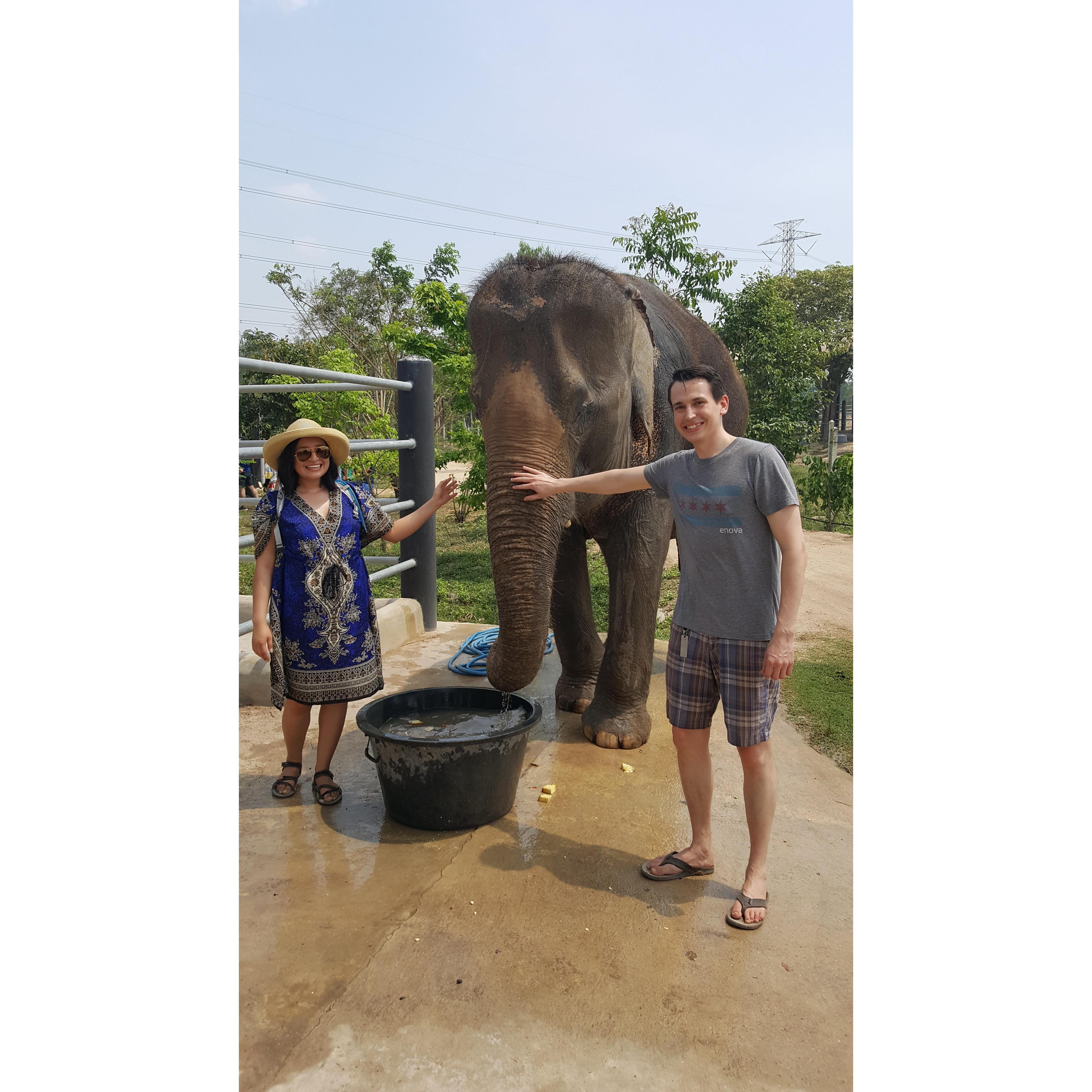 Bath time while on safari