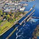 Ballard Locks Fish Ladder