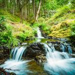 Moran State Park