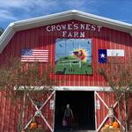 Crowe's Nest Farm