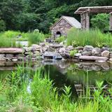 Bowman's Hill Wildflower Preserve
