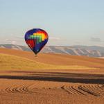 Take a hot air balloon ride!