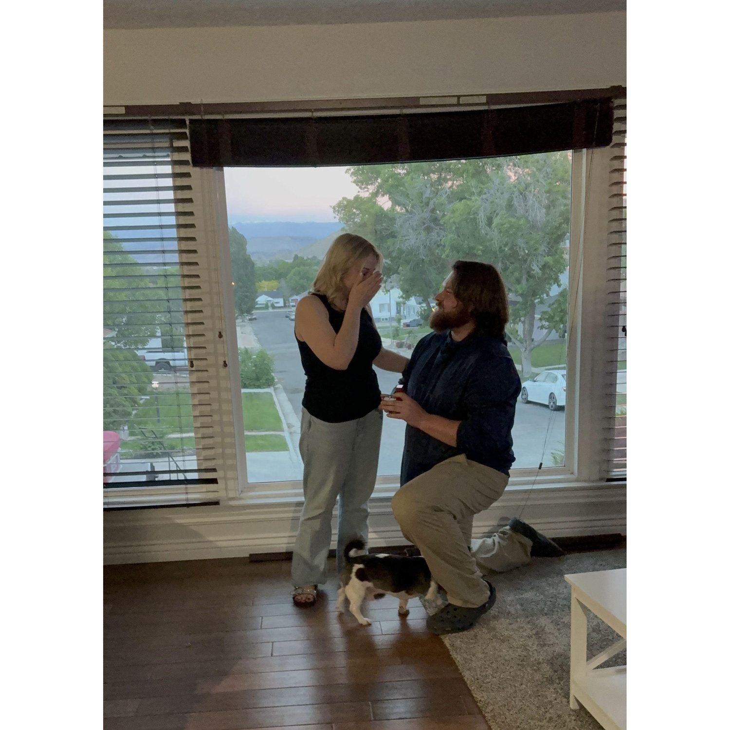 The proposal