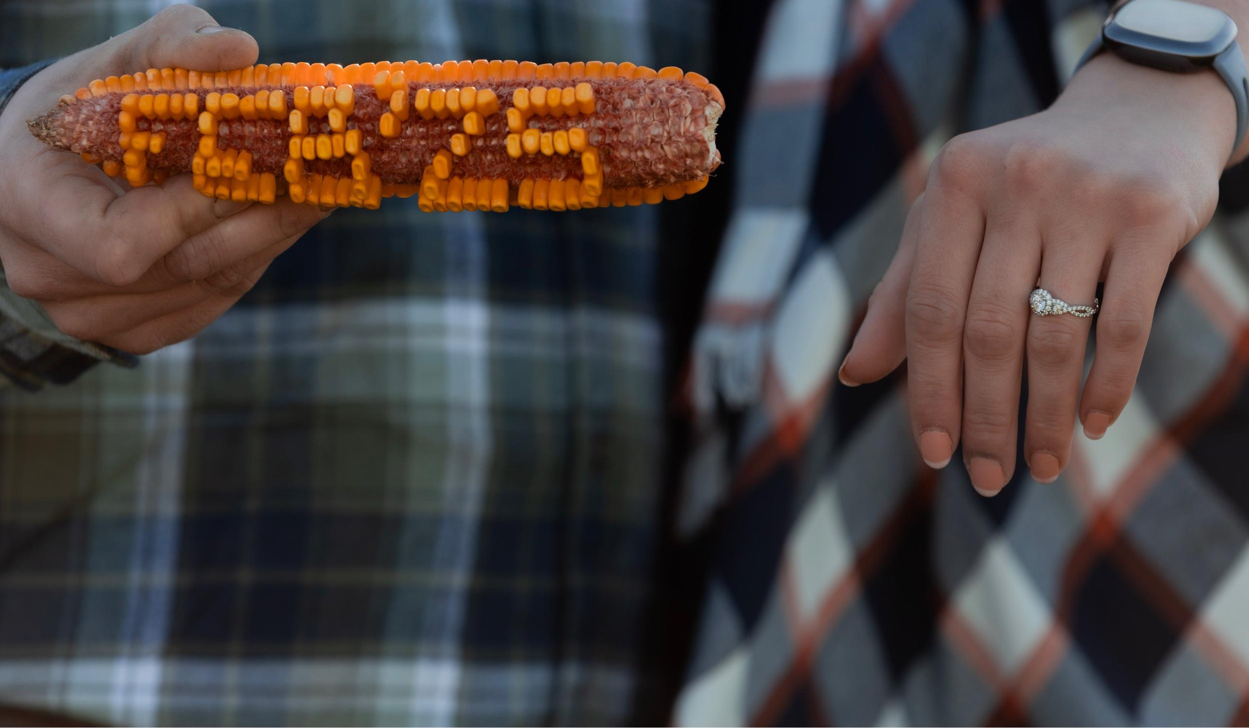 The Wedding Website of Madison Read and Mitchell Donnay