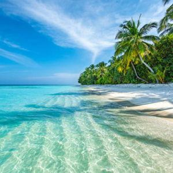 Honeymoon Fund