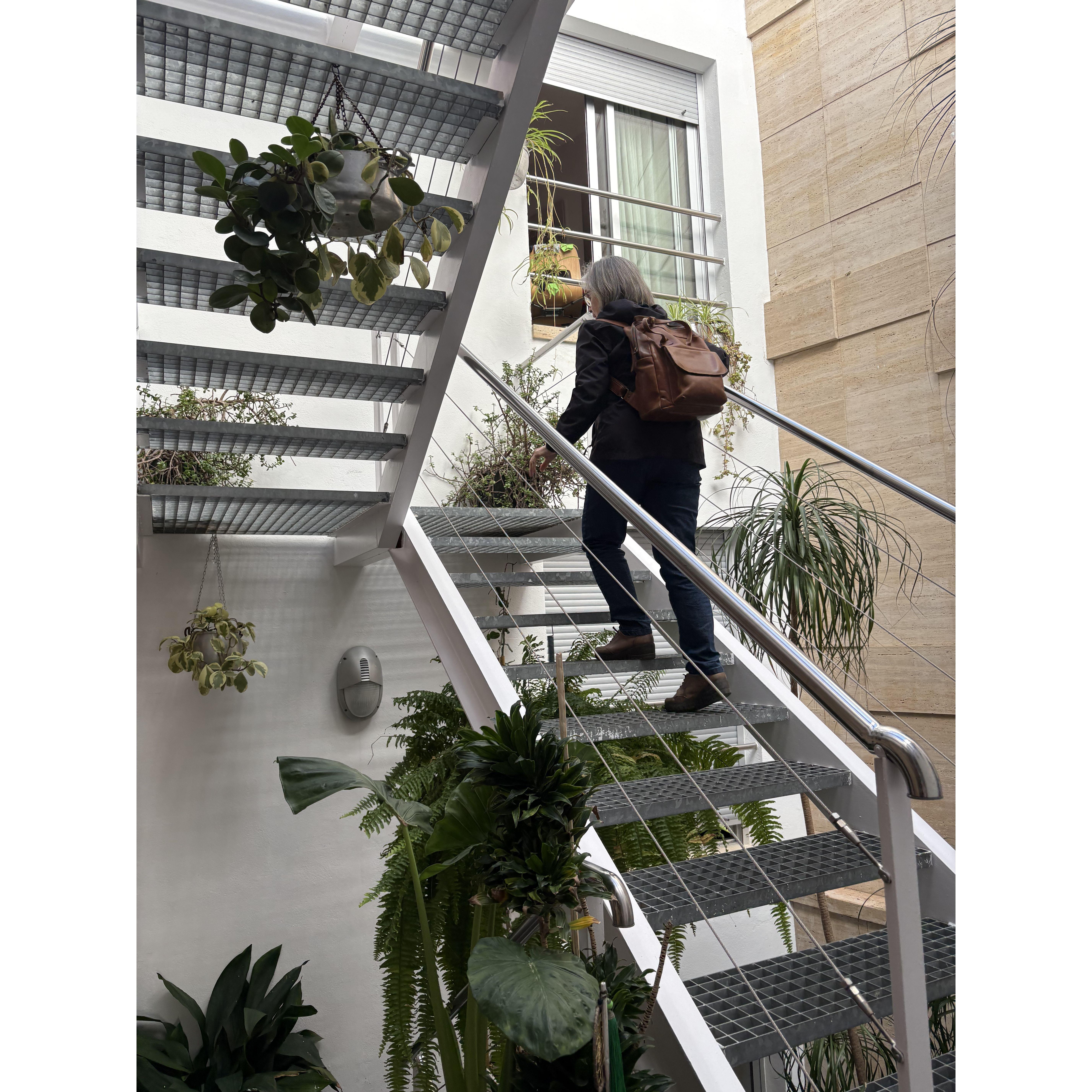 Hostel Stairs