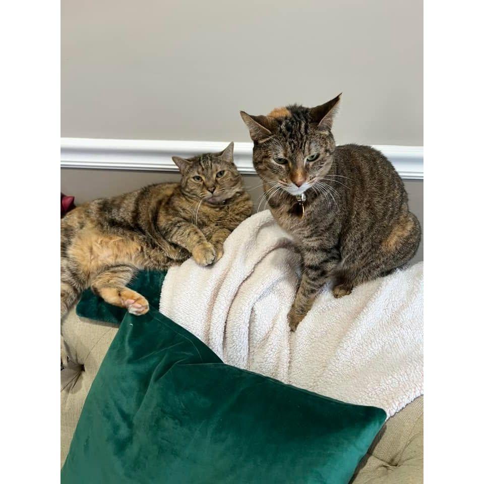 Jade and Princess Leia